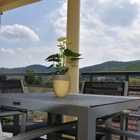 Apartamento Le Brin D'Osier Kaysersberg-Vignoble Exterior foto