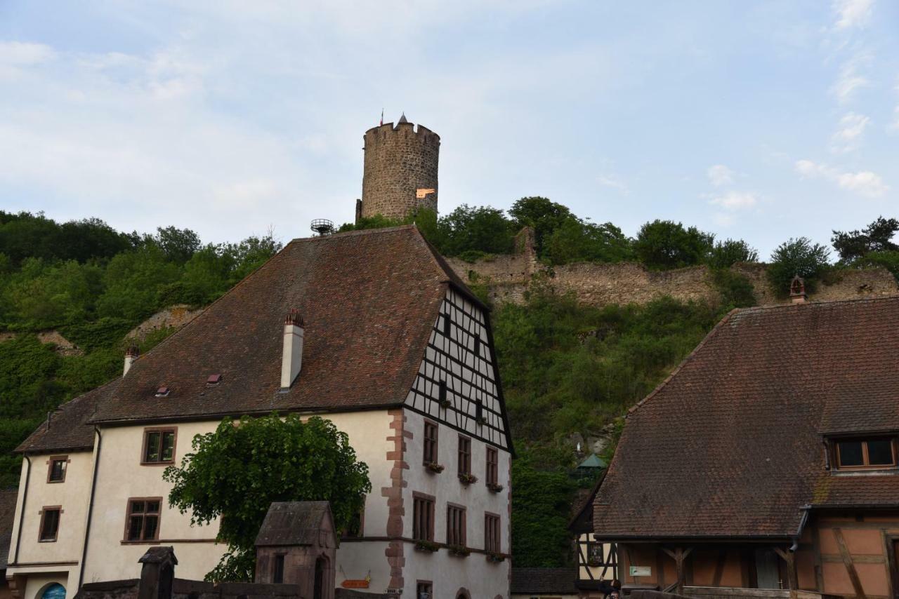 Apartamento Le Brin D'Osier Kaysersberg-Vignoble Exterior foto