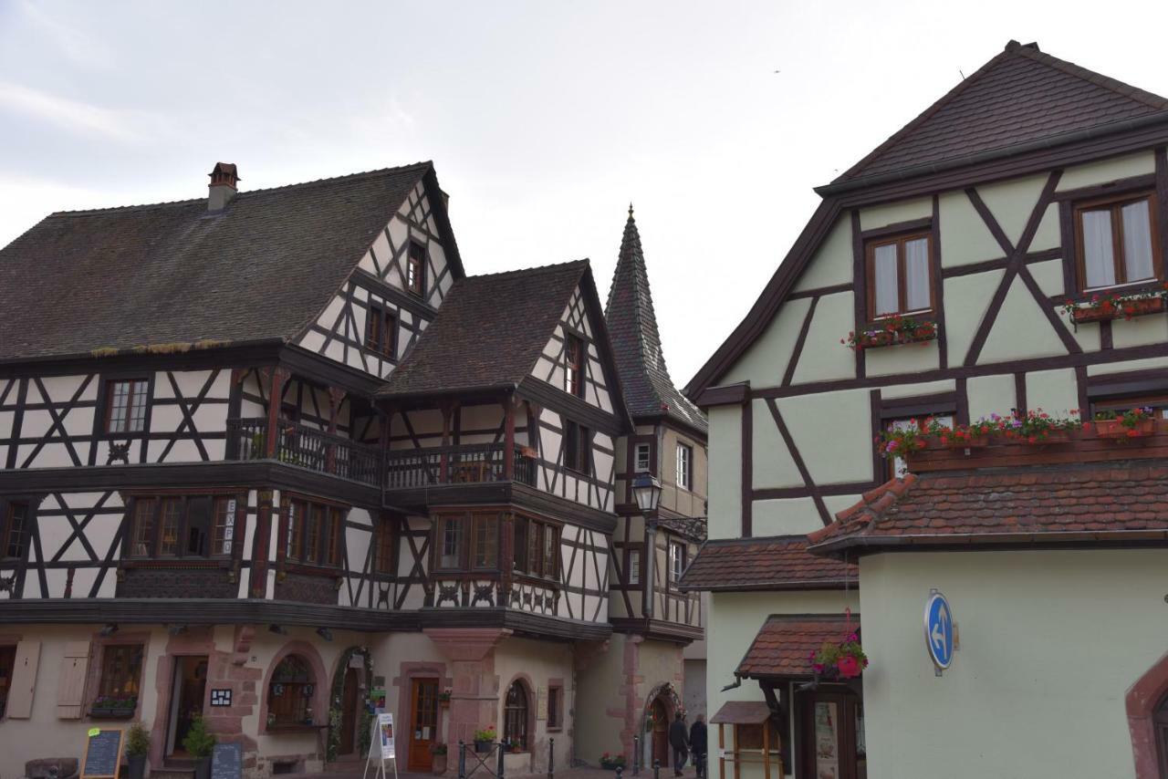 Apartamento Le Brin D'Osier Kaysersberg-Vignoble Exterior foto